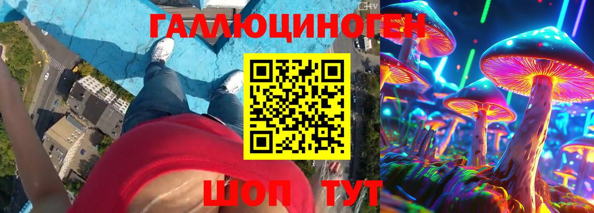 Псилоцибиновые грибы Psilocybe Луховицы
